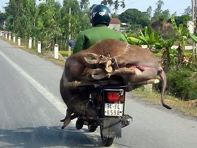 [Funny Vehicle and Ride Only in Vietnam Living (19).jpg]