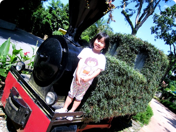 26 Nov 083 26 Nov 083