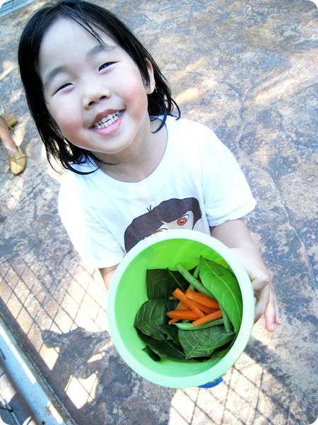 26 Nov 072 26 Nov 072