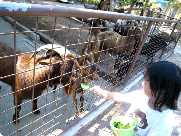 26 Nov 074 26 Nov 074