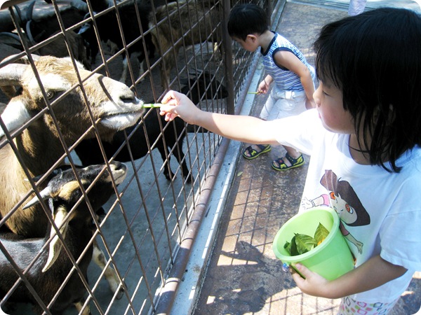 26 Nov 075 26 Nov 075