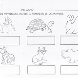 animales.JPG
