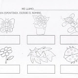 animalesyplantas.JPG