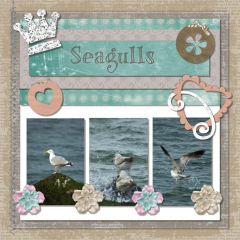 [Seaguls[5].jpg]