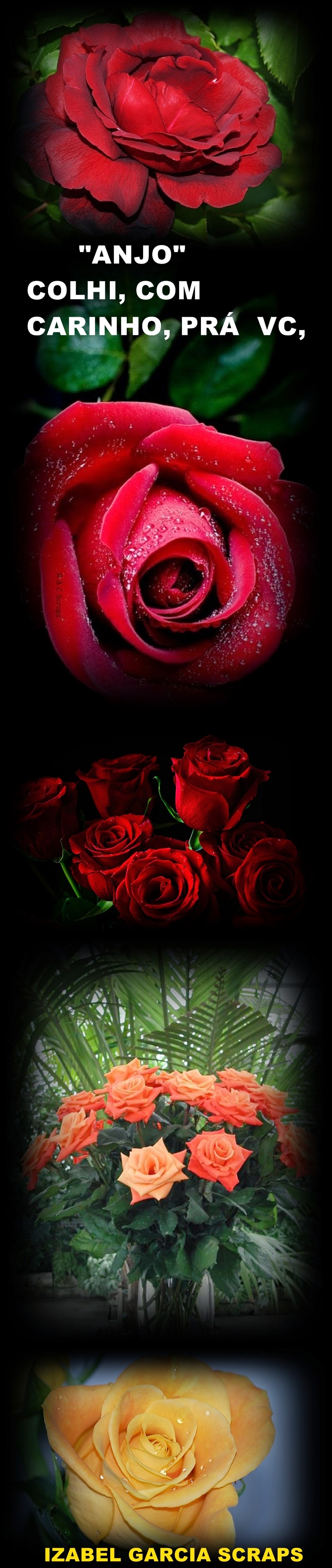 ROSAS%20%20MARAVILHOSAS%20%20003.jpg