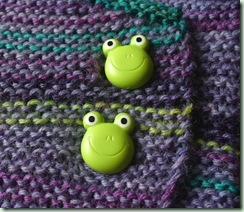Frog button detail
