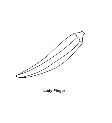 [lady finger - quiabo[5].png]