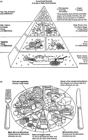 [food-guide-pyramid.1[4].jpg]