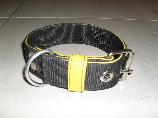 SDC11156.JPG