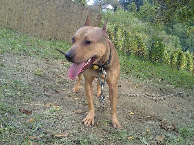 20100915105.JPG