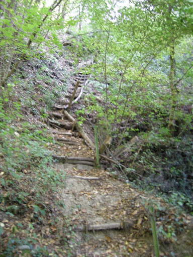 DSCN4738.JPG