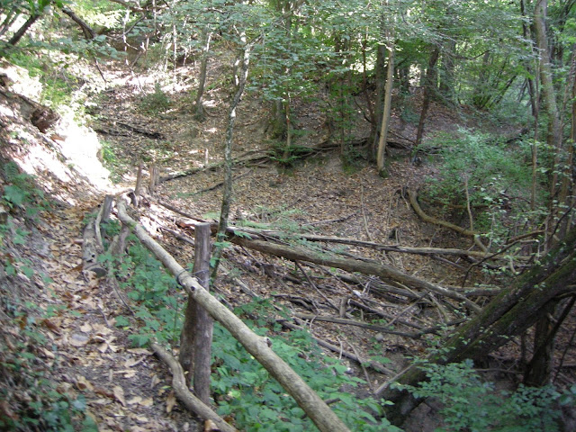 DSCN4739.JPG