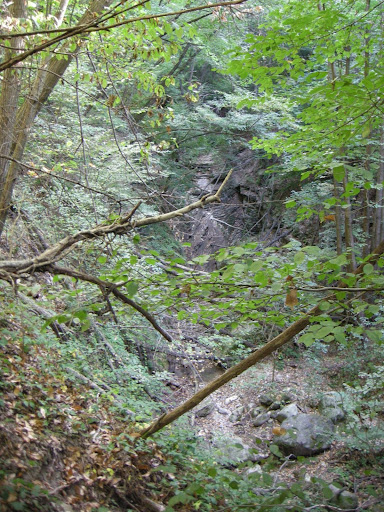 DSCN4742.JPG