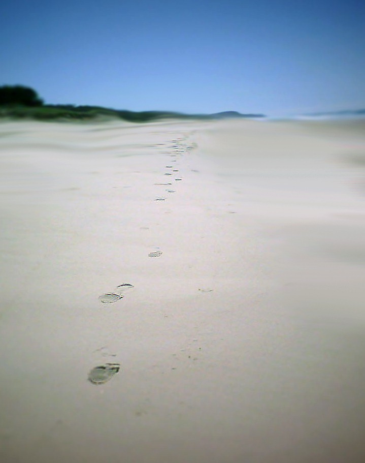 [untitled-(footprints)[2].jpg]