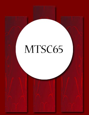 [MTSC65[4].jpg]