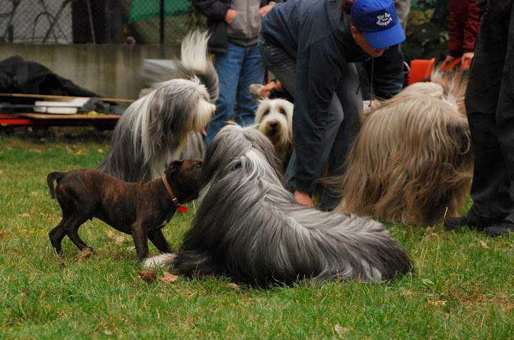 DSC_0010.JPG