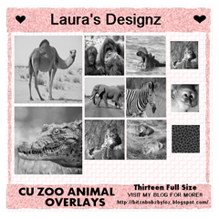 LD_CU_ZOO ANIMAL OVERLAYS PREVIEW