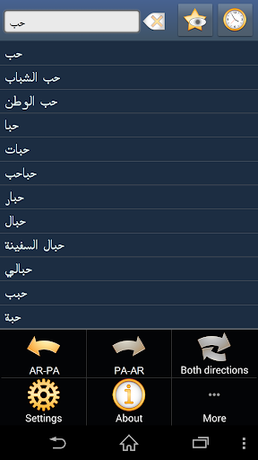 Arabic Punjabi dictionary