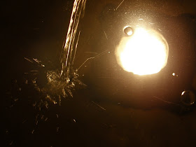 Szeged,  képek,  fotók, pictures, photos,  borfesztivál