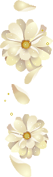 SSA_PIN.png
