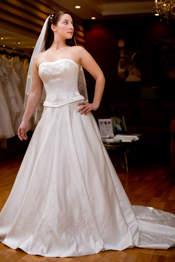 Romantic Bridal Gowns Wedding Dresses
