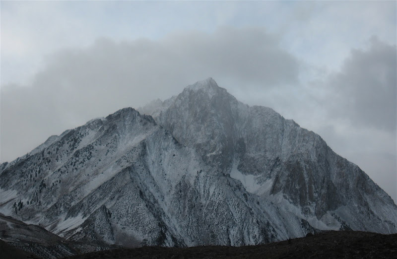 ““““““““