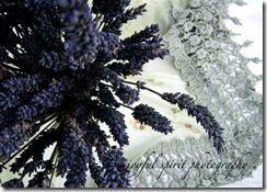 lavender and lace5x7 watermark