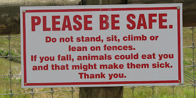 stupid and weird signs