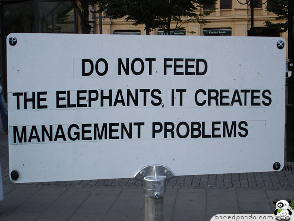 [Image: Funny-Signs-Elephants-54.jpg]