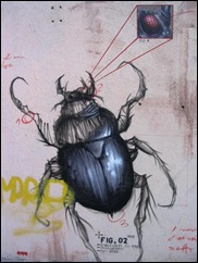 Escarabajo 02