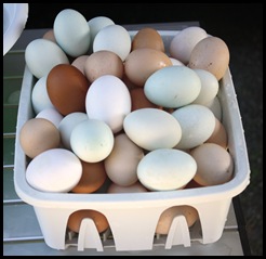 Eggs 001