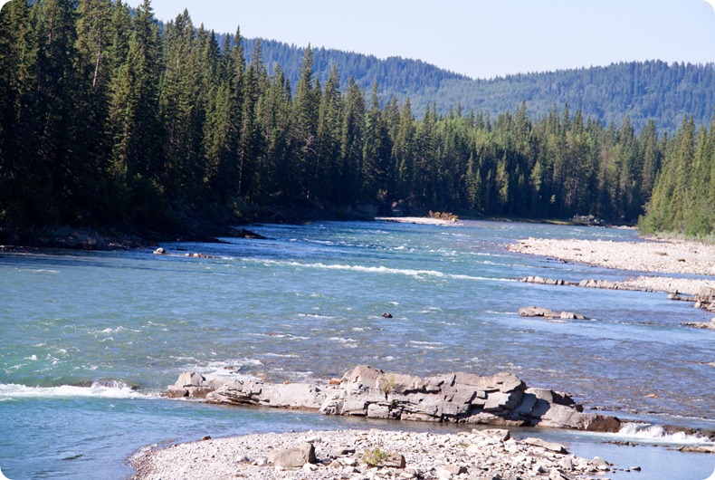 Red Deer River at the Clearwater County Line