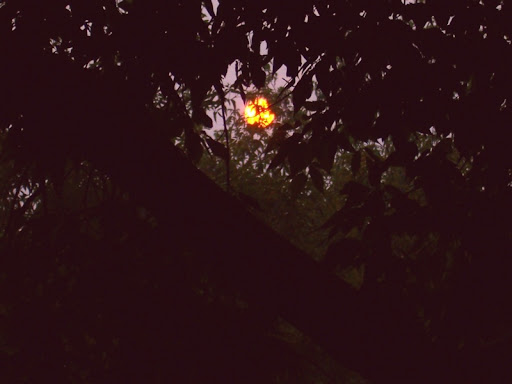 ssvdmImage%20002_cr.jpg