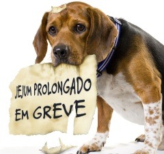 Estou em greve!