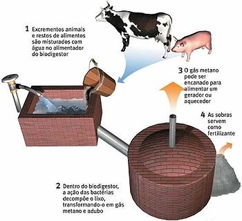 [biogas[3].jpg]