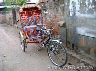 [Rickshaw[17].jpg]