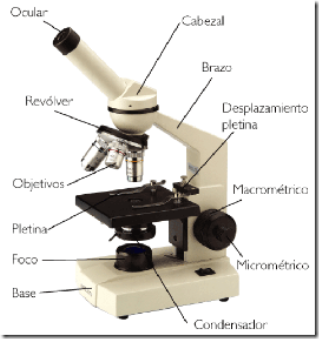 imag-microscopio-optico
