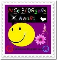 nice blogger awards