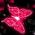 3D Butterfly6