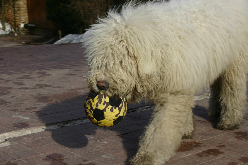 IMG_3761.JPG