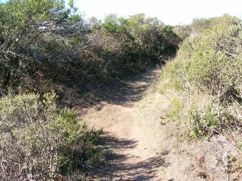 Ridge Trail Service Day – Sweeney Ridge – Leor Pantilat's Adventures