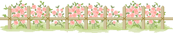 15.png