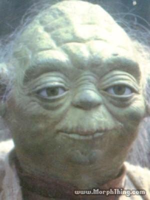[Yoda[1].jpg]