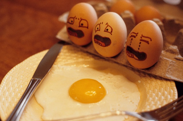 [screaming_eggs_by_500daysofrudy-d35w9ic[5].jpg]