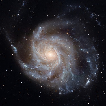 M101