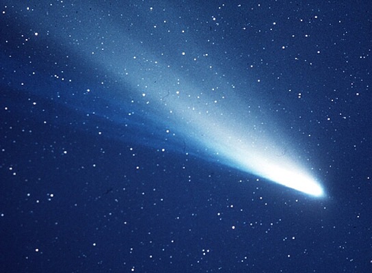 [cometa Halley[4].jpg]