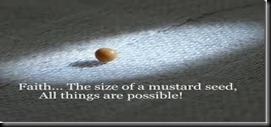 Mustard seed