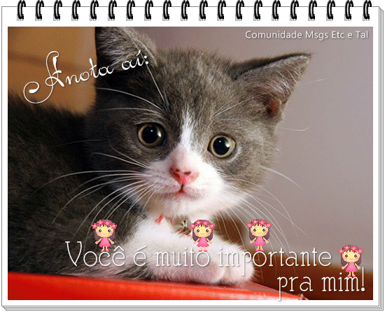 laurinda.png