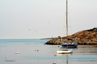 Sailing_Rockport