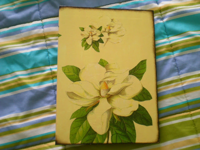 DSCN3784.JPG